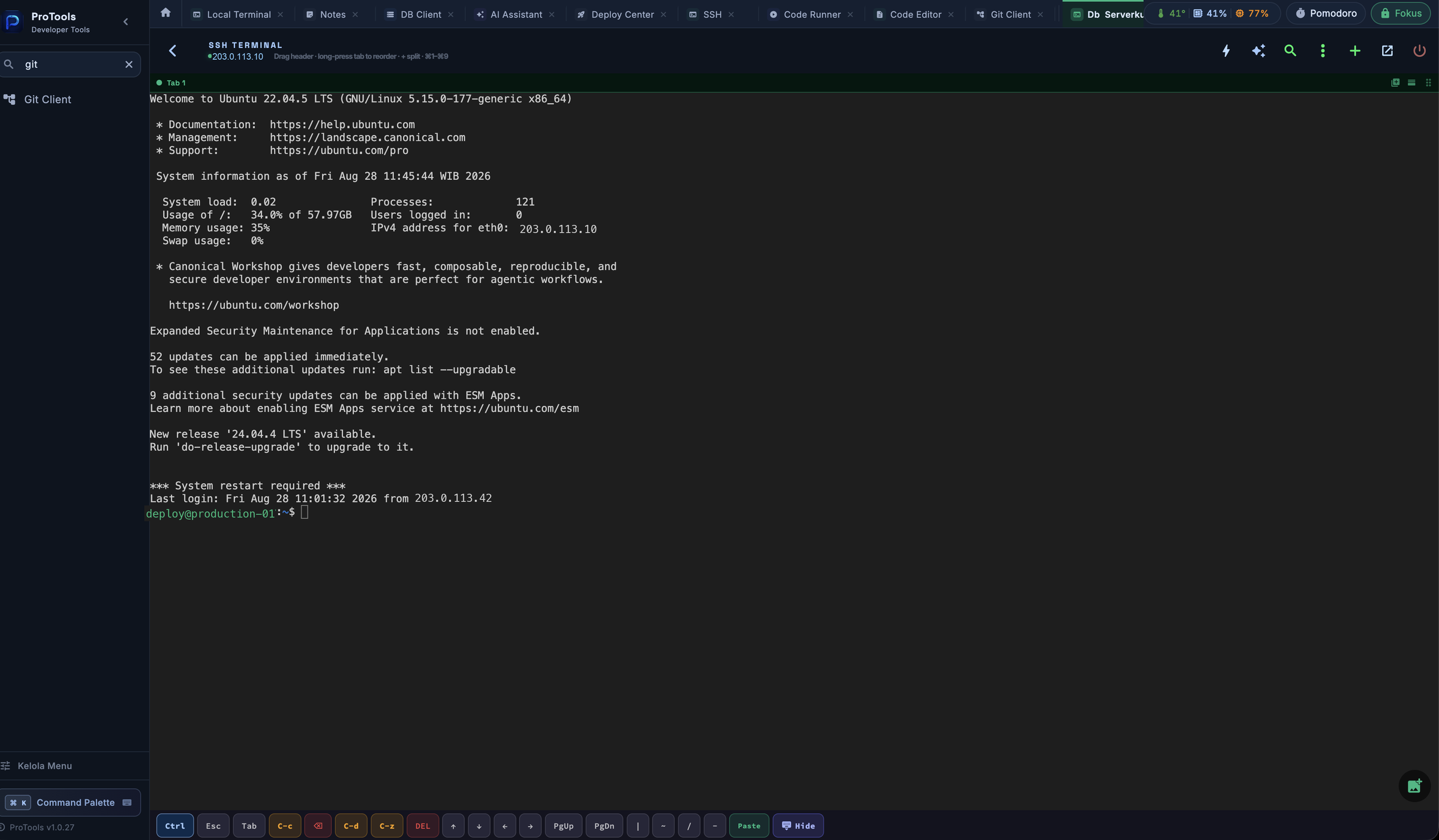 SSH Terminal