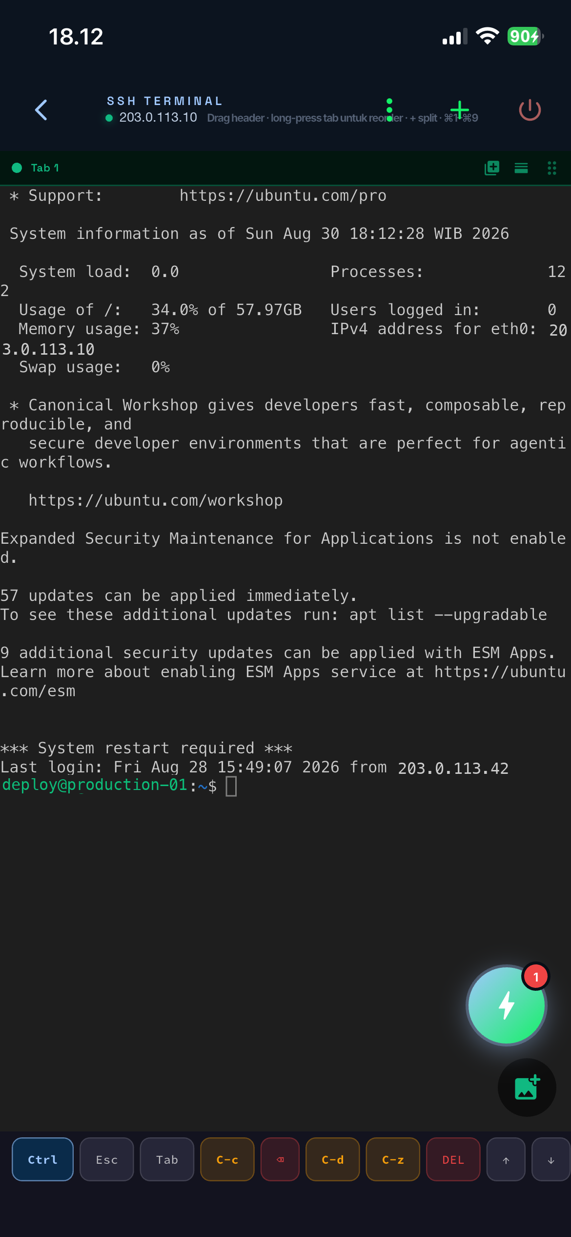 SSH Terminal